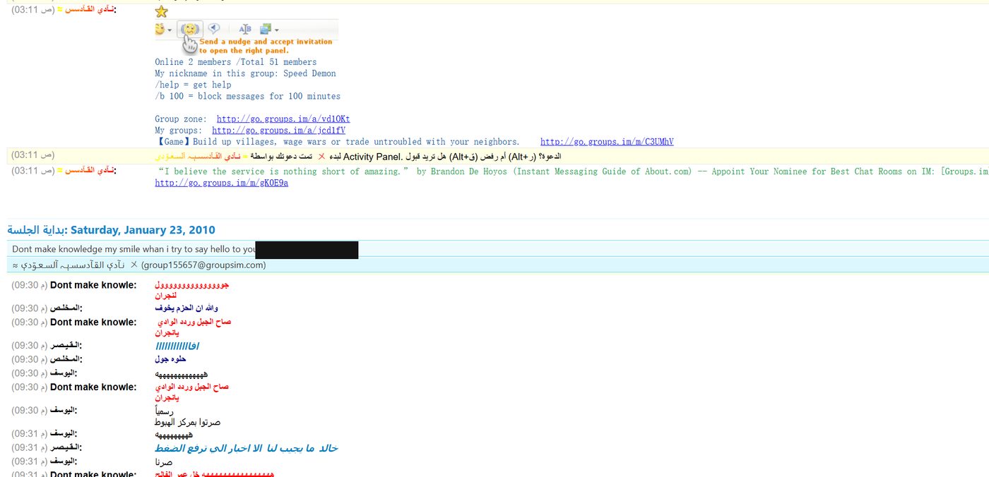 The Messenger group log, Saturday 23 January 2010. A private e-mail address that appeared in the log has been blacked out.